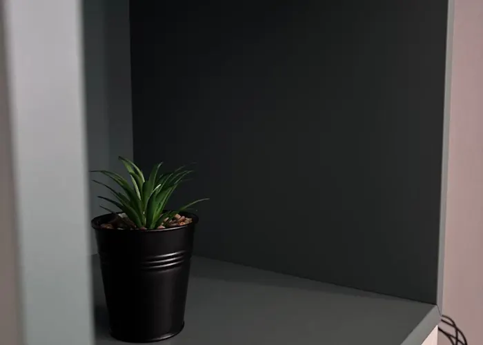 Apartamento Tiny Universitate *